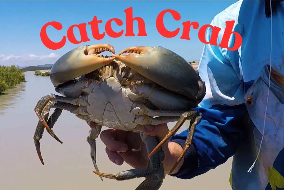 5 Ways To Catch Crabs For Sports Fun