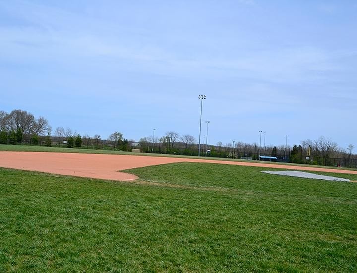 5 Ways To Enjoy Mason Sports Park