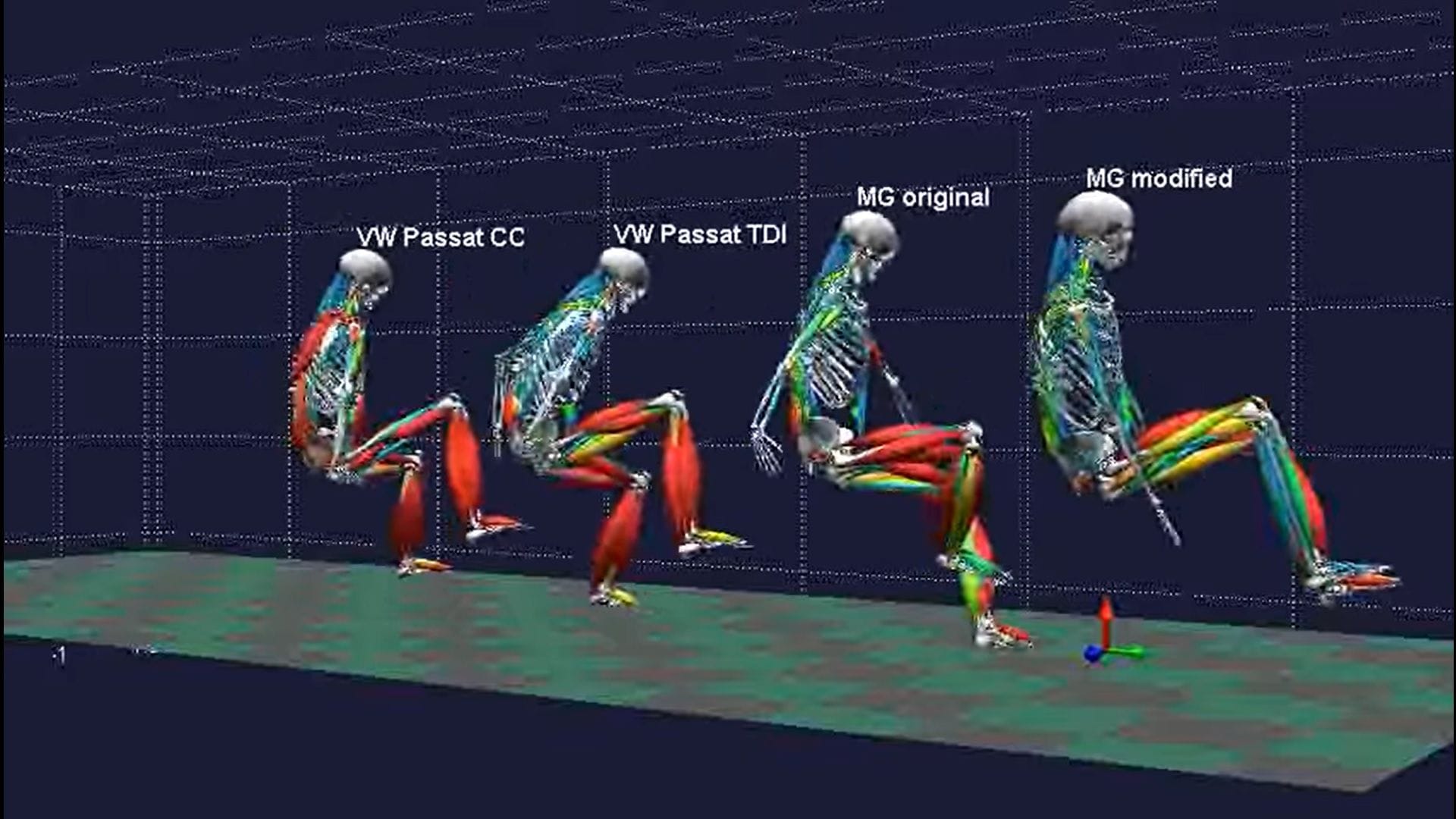 Biomechanics Experience