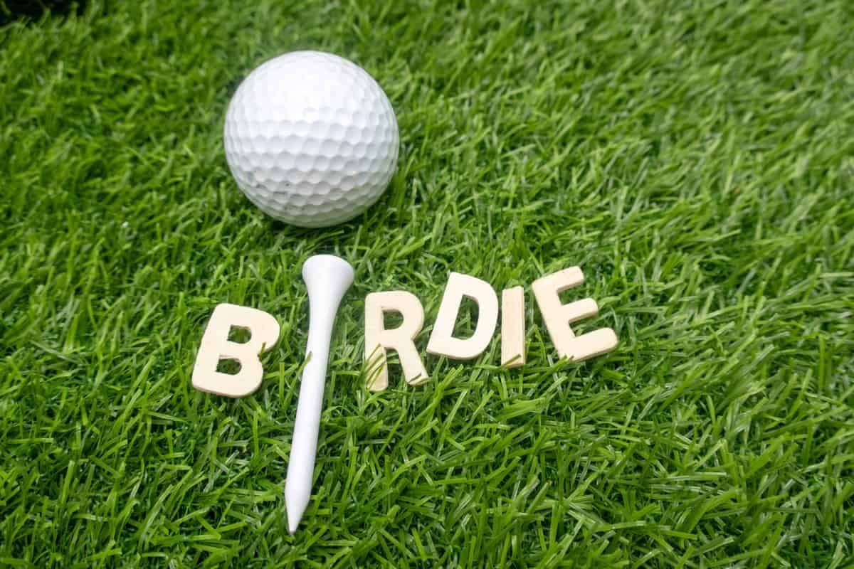 Birdie Sport Course