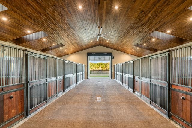 Building A Sports Stable For Equestrian Excellence