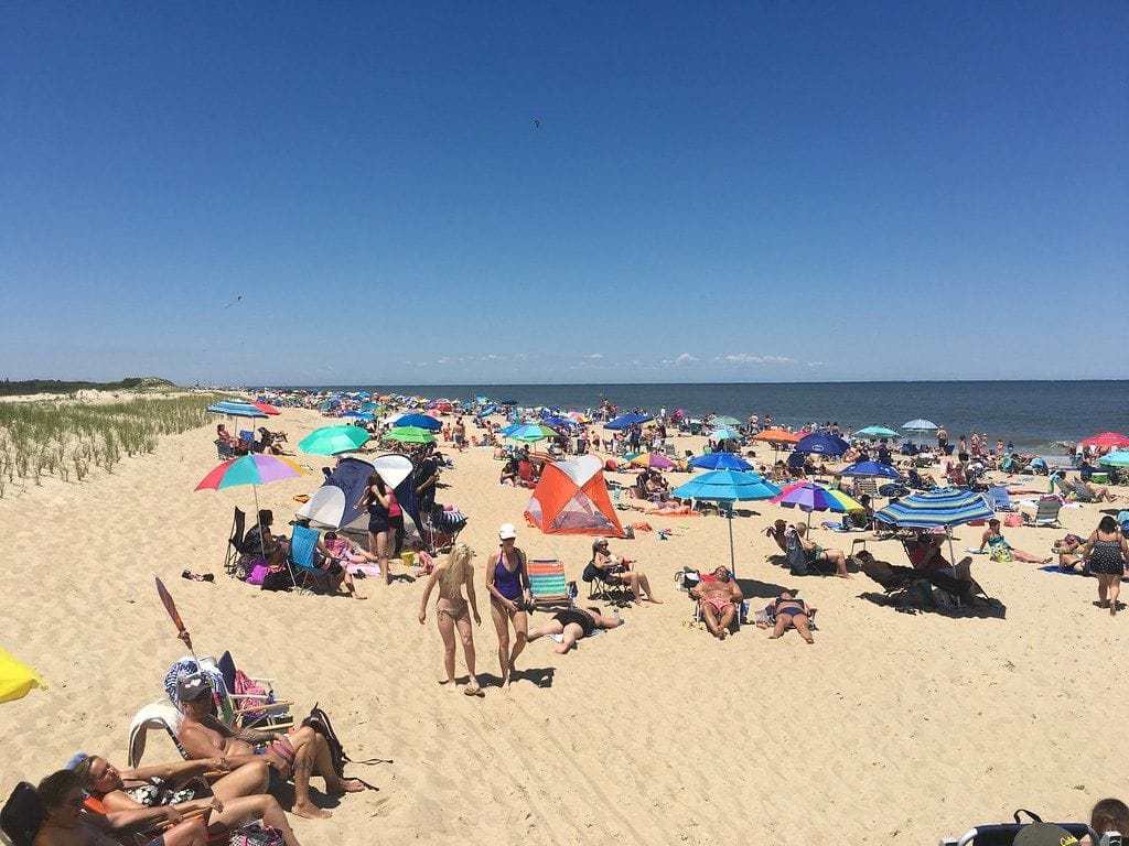 Cape Henlopen Beach