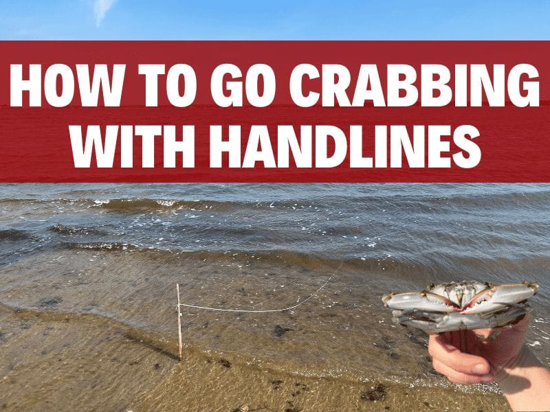 Crab Handlining