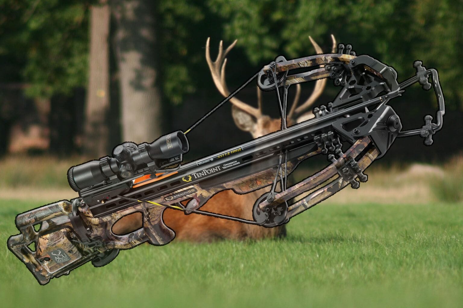 The Top Sa Sports Crossbows for Hunting