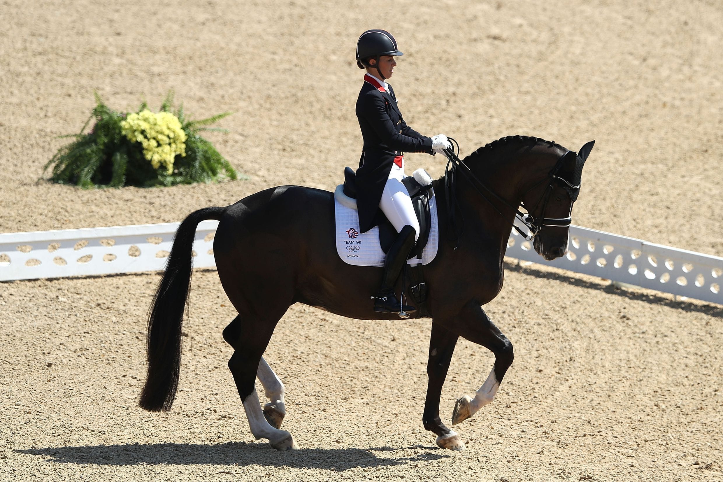 Equestrian Sports