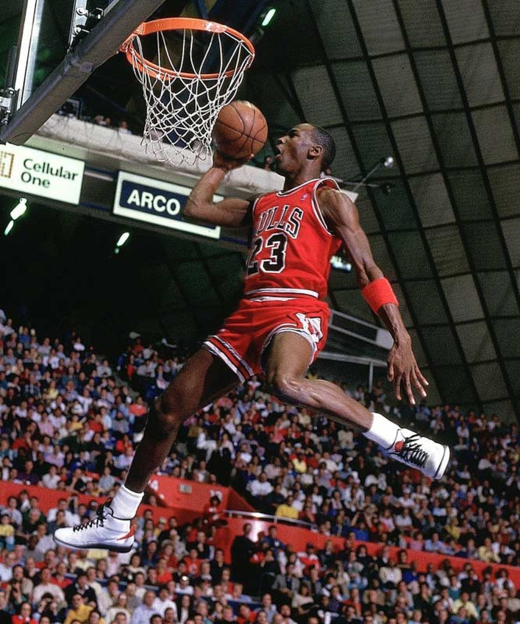 Michael Jordan's Flu Game