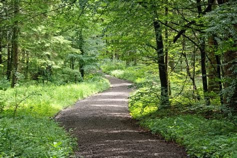 Trinity Sports Park Nature Trails