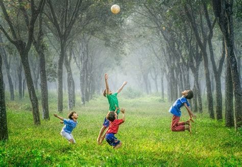 Outdoor Activities at Bear Branch Sports Fields