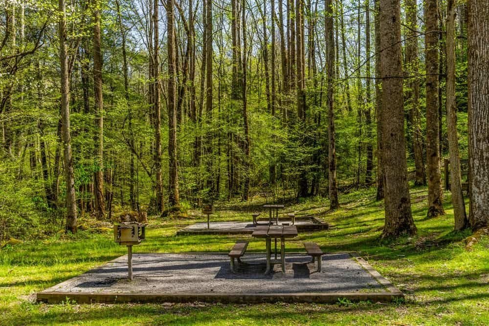 Picnic Areas at Ronald Reagan Sports Park