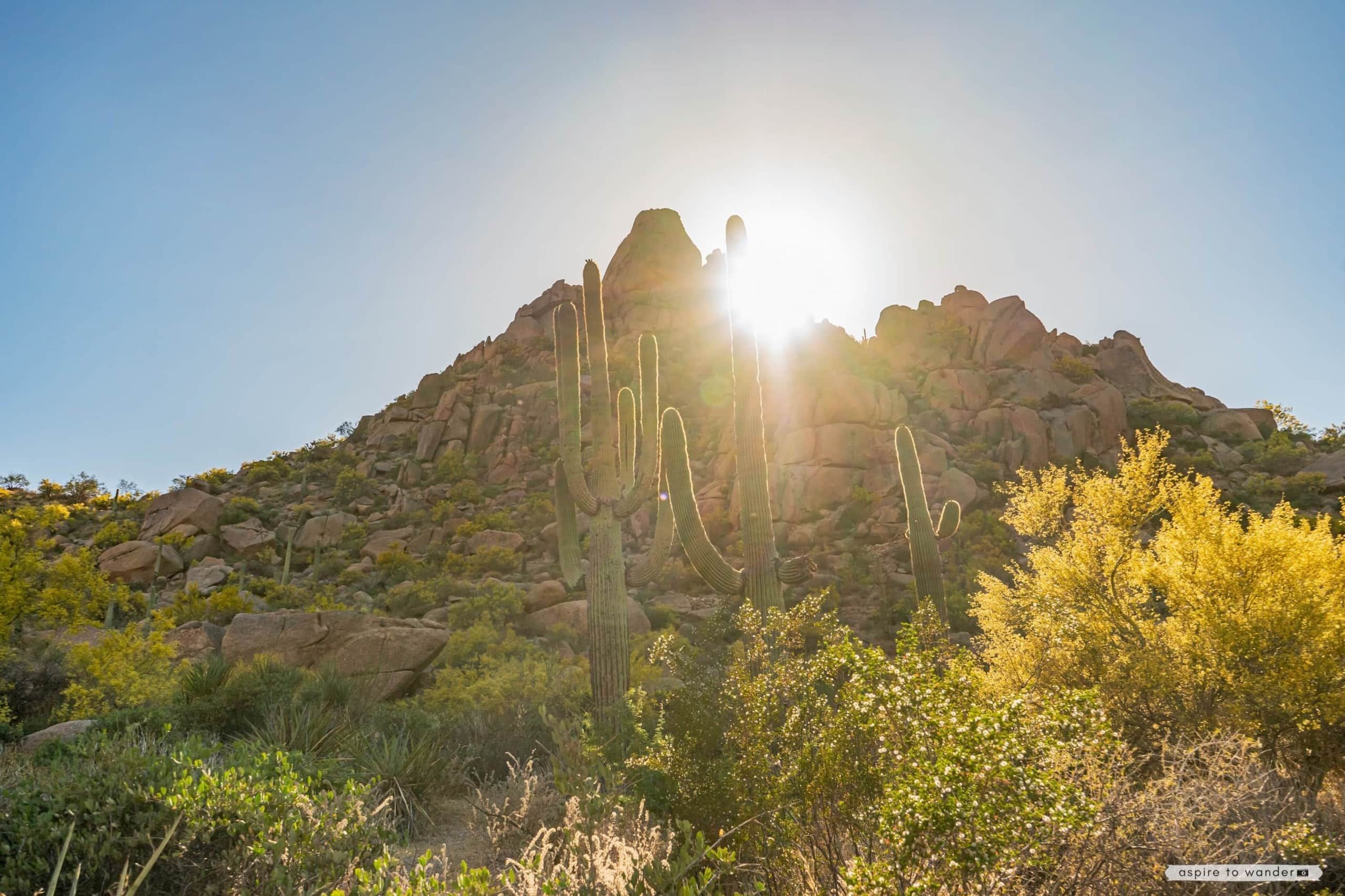 Pinnacle Peak Park sport climbing spot