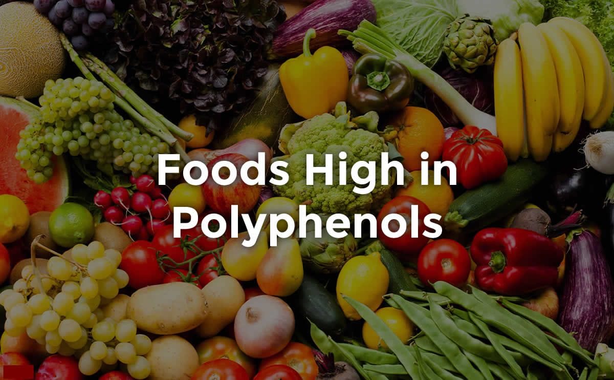 Polyphenol-Rich Fodder for Athletes