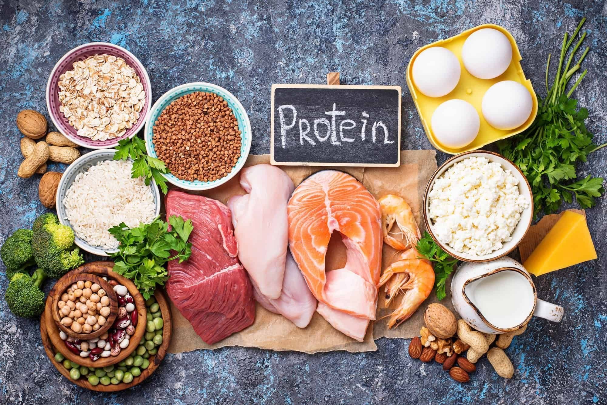 Protein-Rich Fodder for Athletes