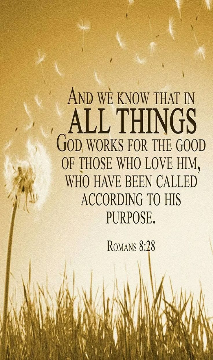 Romans 8:28