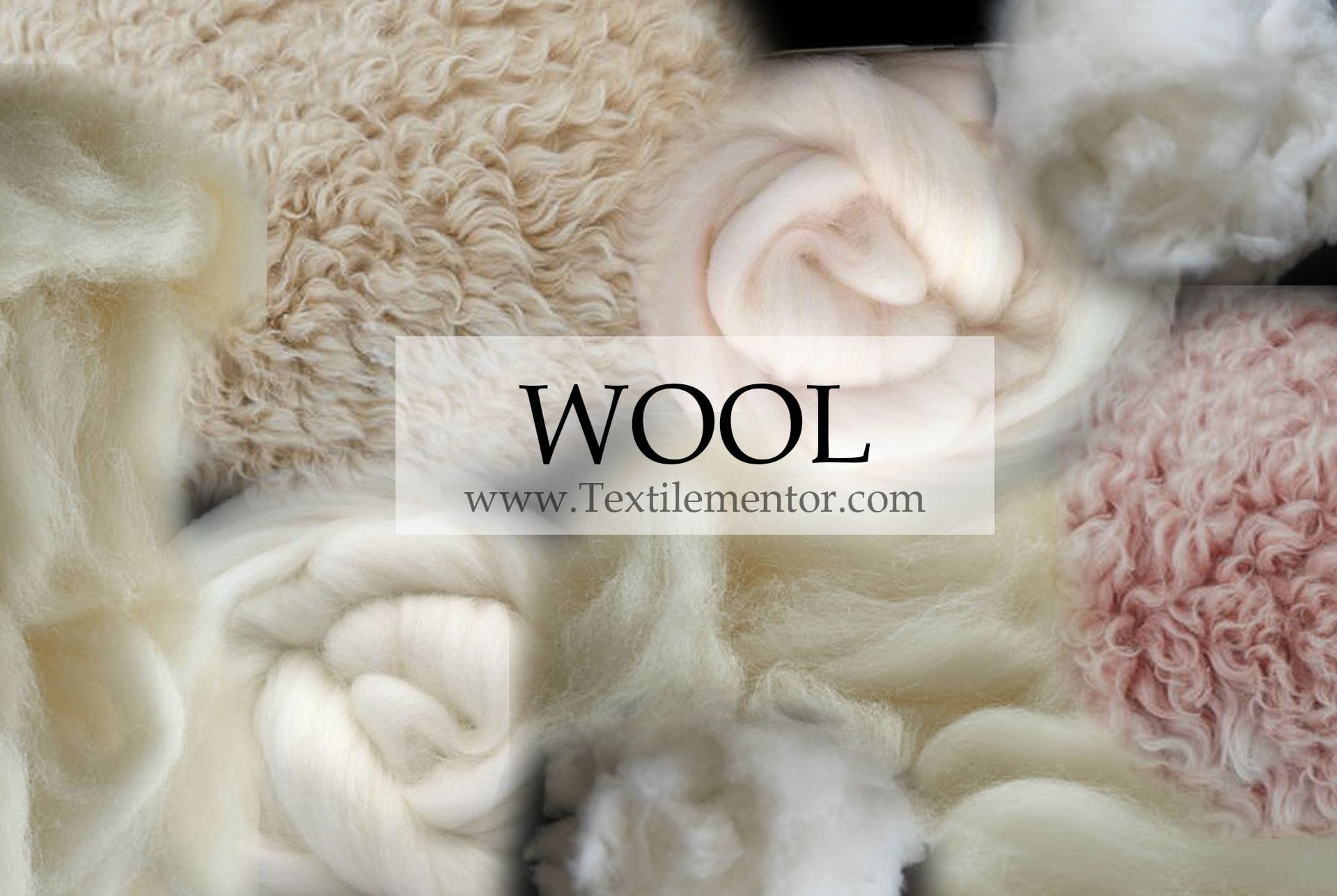 Types of Wool