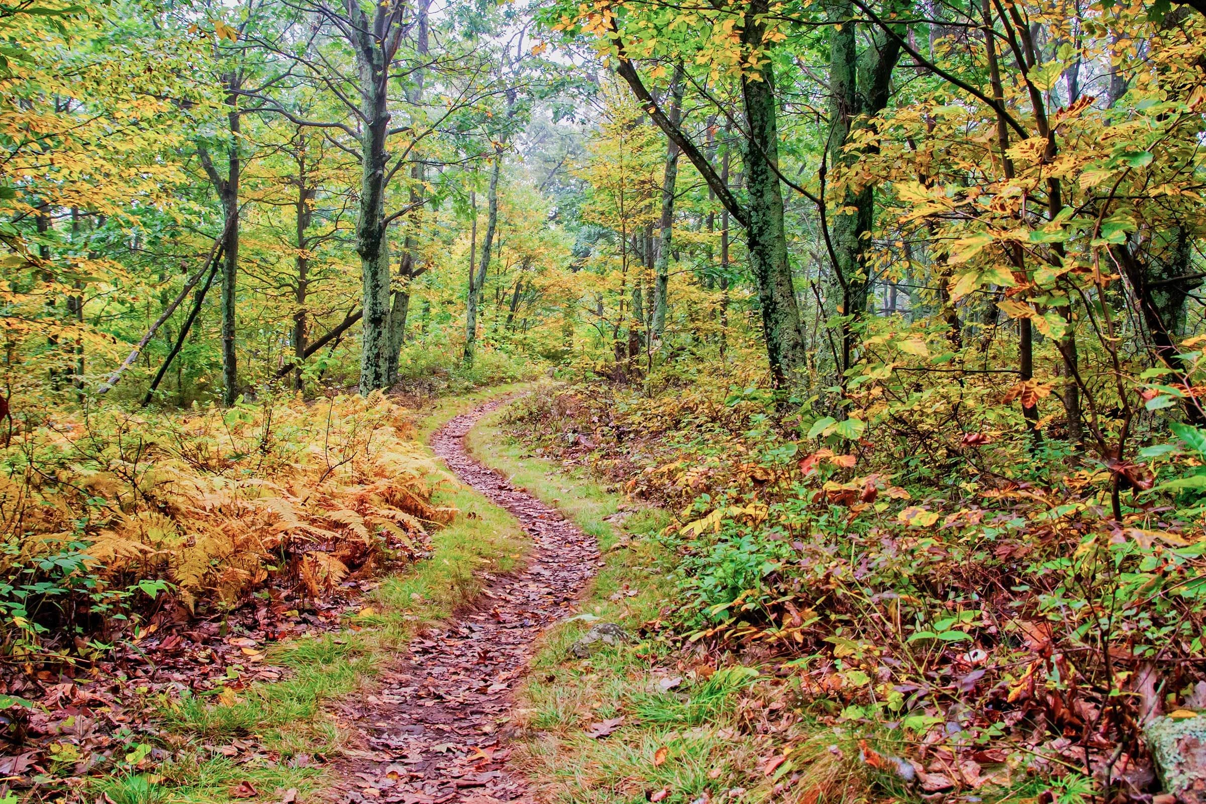 O'Fallon Family Sports Park Walking Trails